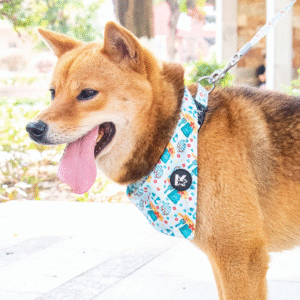 Summer Seaside Dog Bandana