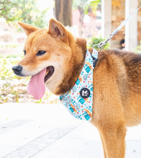 Summer Seaside Dog Bandana